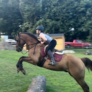 Meet your Posher, Colleen